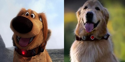 Hold The Phone: There's A Real Life Version Of Dug (The Dog In Disney's "Up")