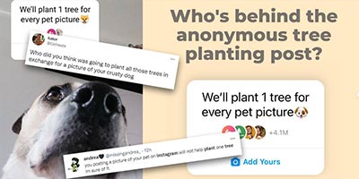 Who Is Planting the Trees?! We Explain the “We’ll Plant 1 Tree for Every Pet Pic” Instagram Trend