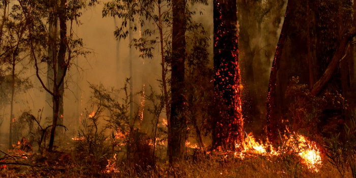 Where To Find Emergency Accommodation If You’re Impacted by Australia's Bushfires