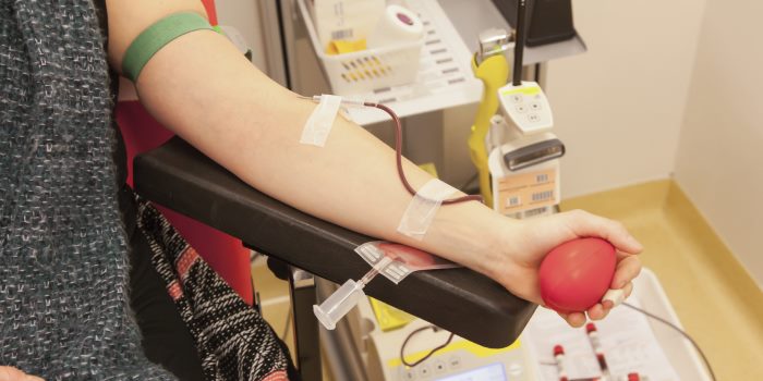 Why Don T More Young People Give Blood Here S What You Need To Know To Donate Student Edge News