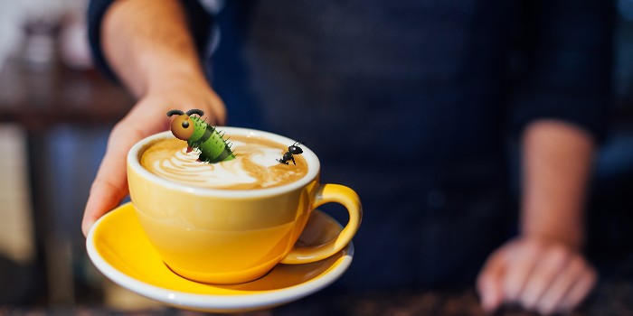Sorry, But You’ve Probably Eaten a Whole Bunch of Insects with Your Coffee and Chocolate