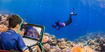 How You Can Help Protect the Great Barrier Reef from Home