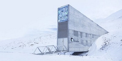 50,000 Seeds Were Deposited in the Arctic ‘Doomsday Vault’ as Insurance for Humanity’s Survival
