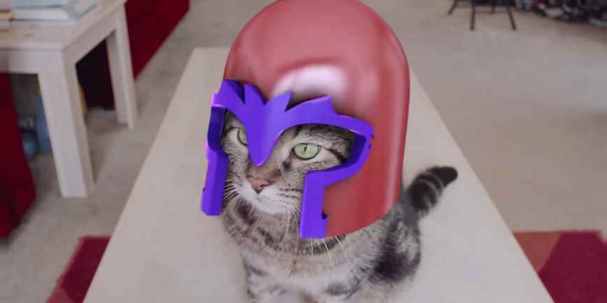 There Is A Cat Magneto Now