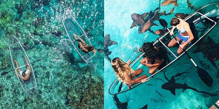 Spy on Fish in High Luxe Style With These Crystal Kayaks