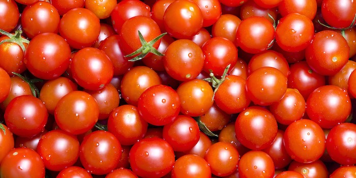 Great Moments in Science: Yes, We Can Make Spicier Tomatoes