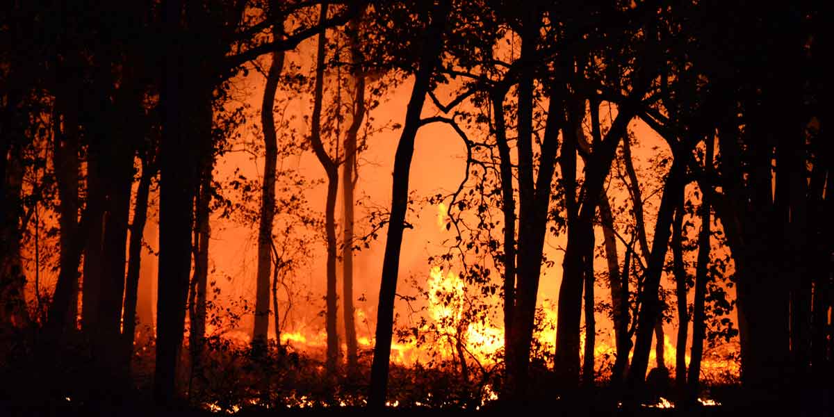 Fires Are Blazing in Western Australia’s South West—Is This the New Normal?