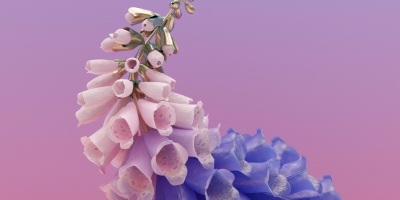 Album Review: Skin by Flume