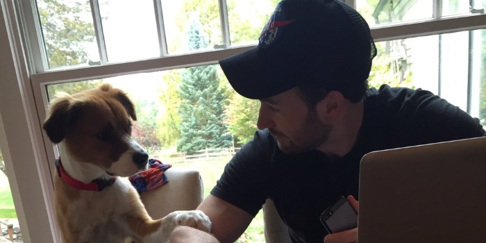 Prepare to Happy-Cry: Watch Chris Evans Reunite With His Dog, Dodger