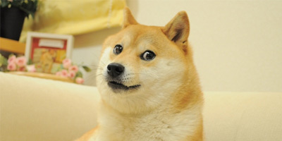 The Doge NFT Is Officially the Most Expensive Meme Ever