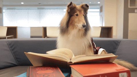 Read Texas Am GIF By Texas A&M University