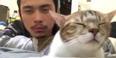 For Some Reason, Here's A Super-Chill Cat (And Its Owner) Vibing On "Hotline Bling"
