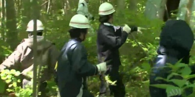 Rescuers Reportedly Find Missing Japanese Boy Alive In The Woods