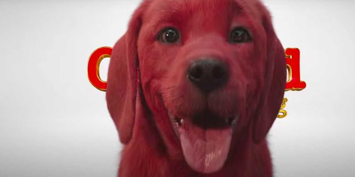 what kind of dog is red dog