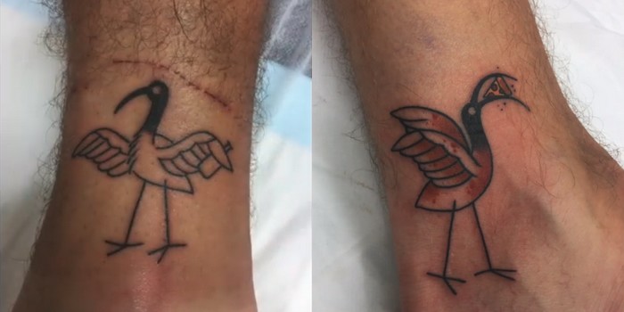 Inspiring: Bin Chicken Tats Were All the Rage at Gold Coast Schoolies This Year