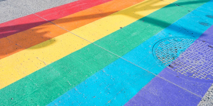The Frustration of Being Too Young to Vote in the Marriage Equality Postal Survey