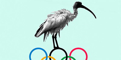 Aussies Want the Bin Chicken to Be Our 2032 Olympic Mascot