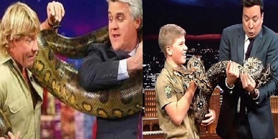 Robert Irwin Appeared on The Tonight Show and Totally Mirrored His Father