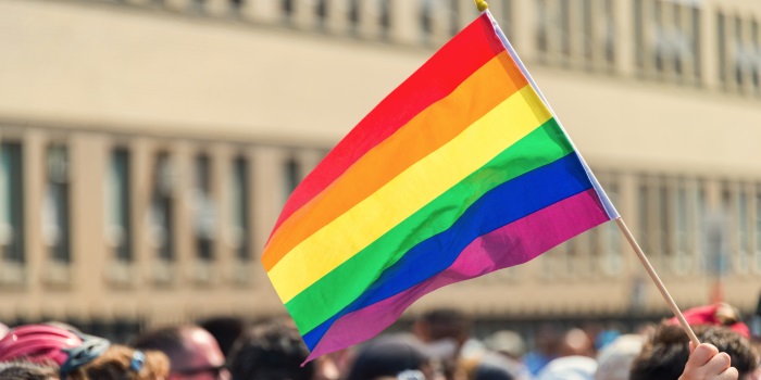 Marriage Equality: What Are the Mental Health Consequences of a 