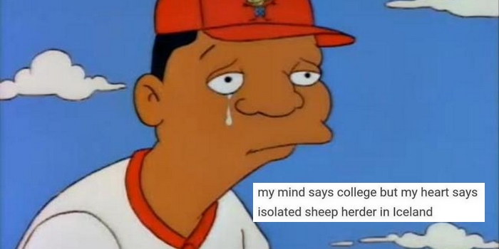 QLD Students Accidentally Got Their Finals Marks Early, So They Resorted to the Memedom to Cope