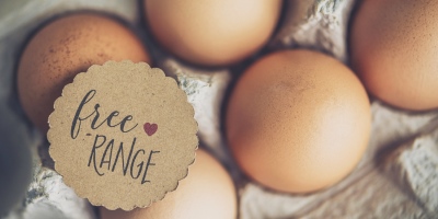Lost In The Eggs Aisle? Here’s What ‘Free-Range’ Actually Means