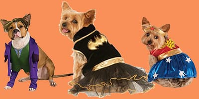 Big W Has Released Spoopy Halloween Costumes for Pets and We Need Them ASAP
