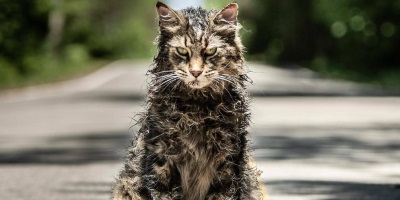 Where Can I Watch the Original "Pet Sematary" In Australia (Before the Remake Arrives)?