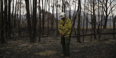 All Remaining NSW Bushfires Are Now Contained After a Week of Rain