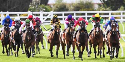 Say Nup to the Cup: What Young People Think of the Melbourne Cup