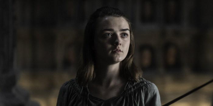 Maisie Williams Schools Hater On Twitter After Being Accused Of Spoiling "Game Of Thrones