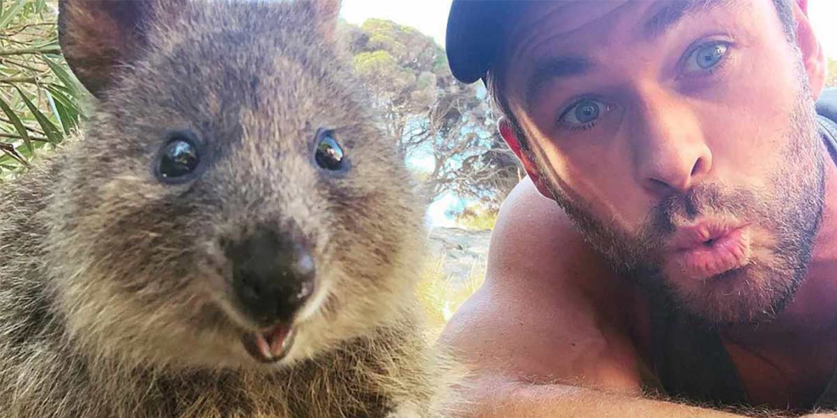 Five Reasons Why Western Australia Is the Perfect Work and Travel Destination