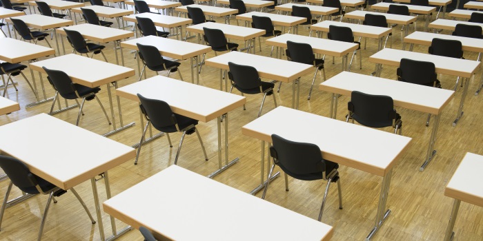 HSC Exams: Here Are The Tips, Words Of Advice And Cute Animal Videos To Help You Cope
