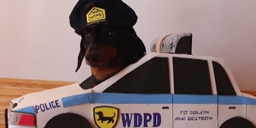 Two Dachshunds Re-Enact Heat, Basically