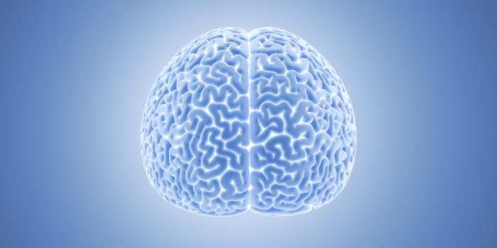 How To Improve Your Memory