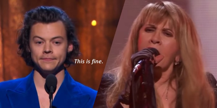 Wrong Direction: Fleetwood Mac's Stevie Nicks Thought Harry Styles Was From NSYNC