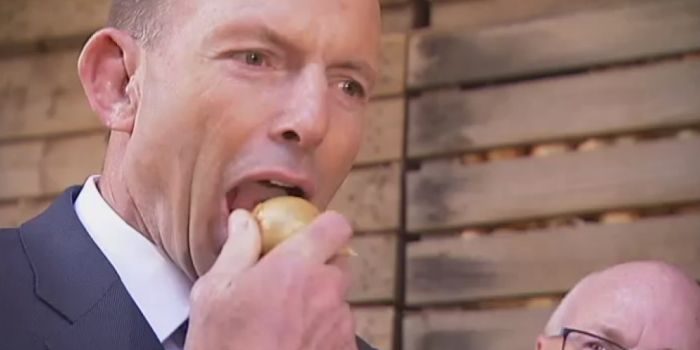 #Straya: Macquarie Dictionary Announces 'Captain's Call' As Word Of The Year