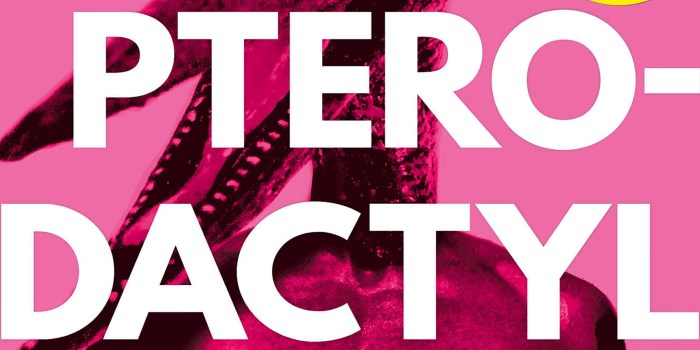 Book Club Review: Hot Pterodactyl Boyfriend
