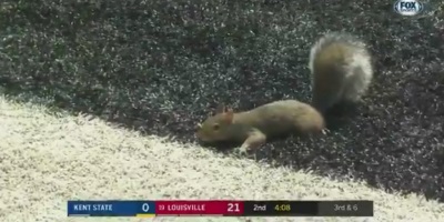While Trump Feuds With the NFL, A Squirrel Makes Its First College Football Touchdown