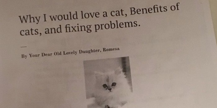 Eleven-Year-Old Writes a Killer Six-Page Report to Convince Her Parents to Adopt a Cat