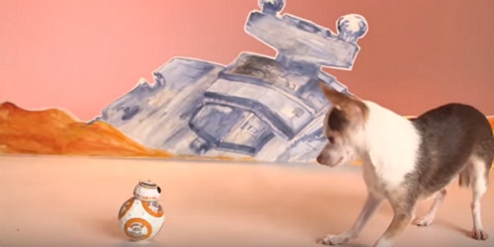 The "Star Wars" BB-8 Droid Can Now Be Purchased; Dogs Both Love And Fear It