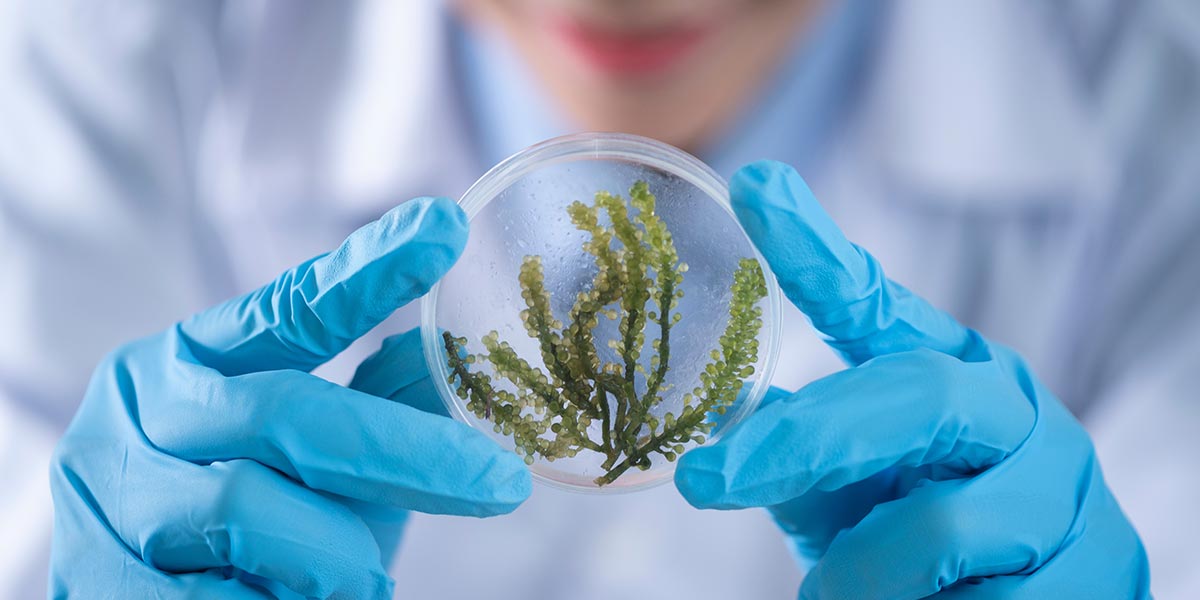 Here's How You Can Master a Career in STEM Even If You Weren't a Fan of Math or Science in High School