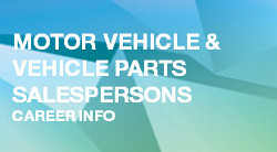 Motor Vehicle And Vehicle Parts Salespersons