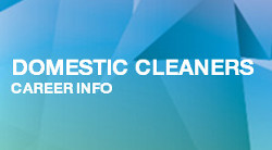 Domestic Cleaners