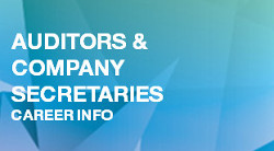 Auditors, Company Secretaries and Corporate Treasurers