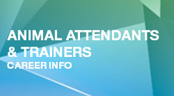 Animal Attendants and Trainers