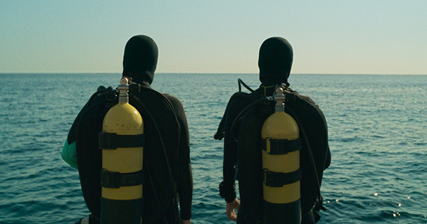 Win a double pass to see THE DIVE