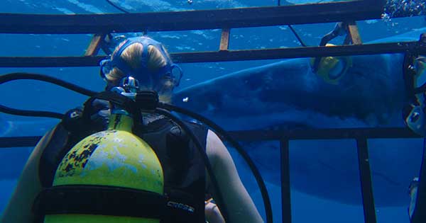  Win 1 of 20 doubles to 47 METRES DOWN 