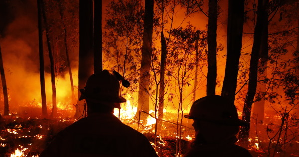 Send a Support Message to Those Affected by the Bushfires