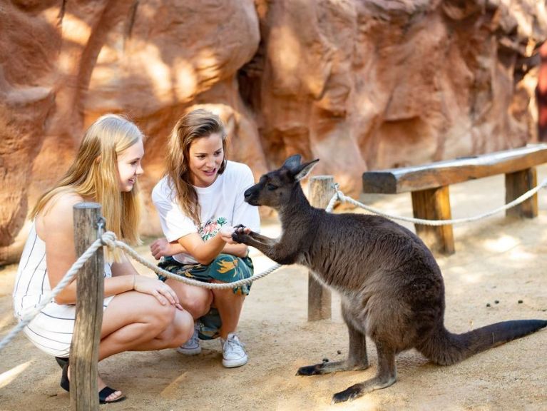 WILD LIFE Sydney Zoo Student Discount · 50% off General Admission*