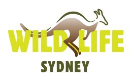 50% off General Admission*